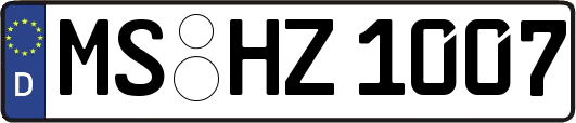 MS-HZ1007