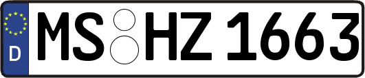 MS-HZ1663