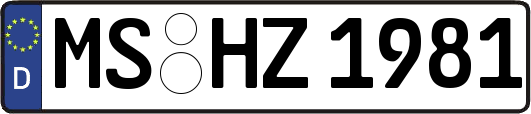 MS-HZ1981