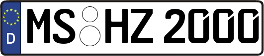 MS-HZ2000