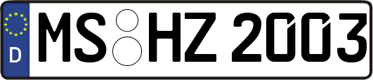 MS-HZ2003