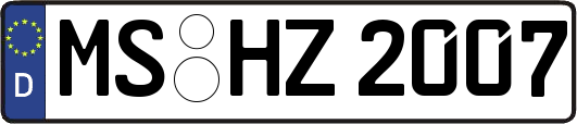 MS-HZ2007