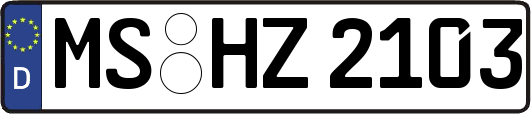 MS-HZ2103