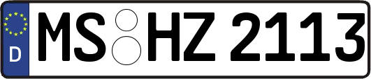 MS-HZ2113