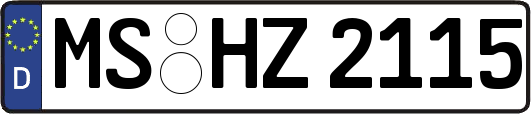MS-HZ2115