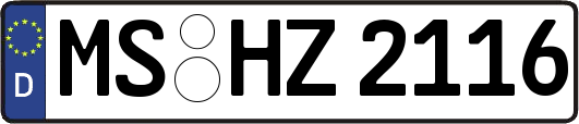 MS-HZ2116