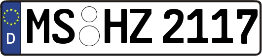 MS-HZ2117