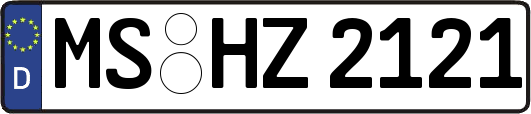 MS-HZ2121