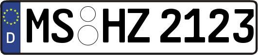 MS-HZ2123