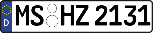 MS-HZ2131