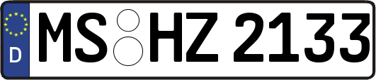MS-HZ2133