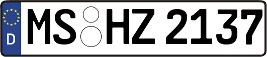 MS-HZ2137