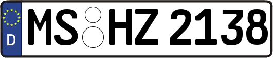 MS-HZ2138