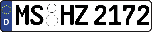 MS-HZ2172