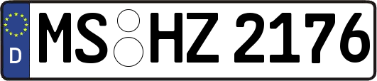 MS-HZ2176