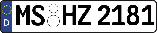 MS-HZ2181