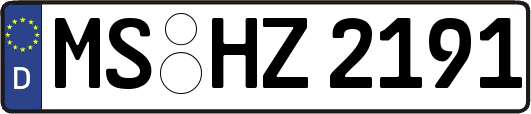 MS-HZ2191