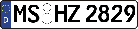 MS-HZ2829