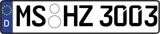 MS-HZ3003