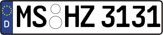 MS-HZ3131