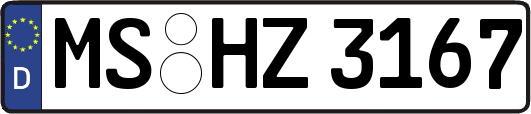MS-HZ3167