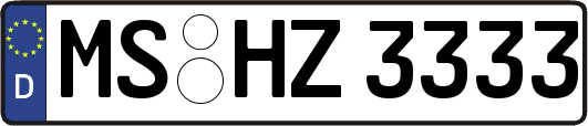 MS-HZ3333