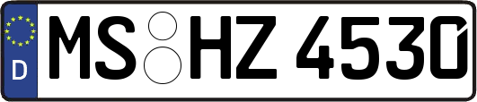 MS-HZ4530
