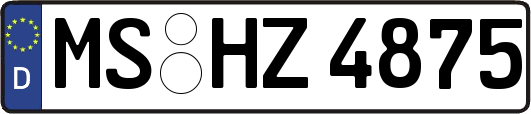 MS-HZ4875