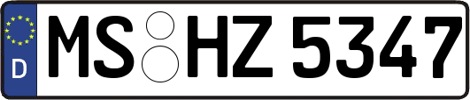 MS-HZ5347
