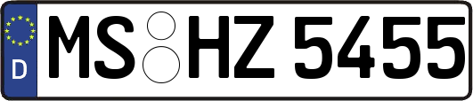MS-HZ5455
