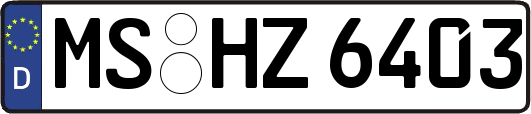 MS-HZ6403