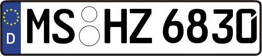 MS-HZ6830