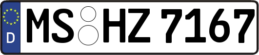 MS-HZ7167