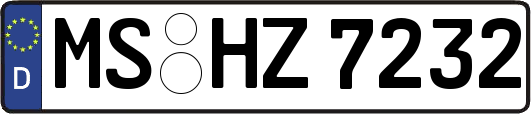MS-HZ7232