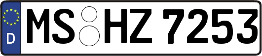 MS-HZ7253
