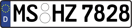 MS-HZ7828