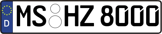 MS-HZ8000