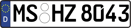 MS-HZ8043