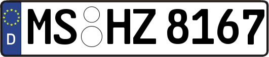 MS-HZ8167
