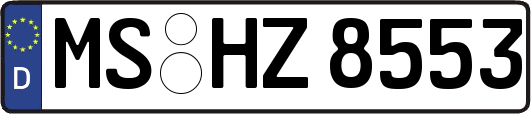 MS-HZ8553