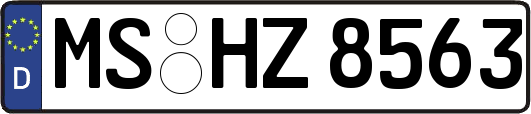 MS-HZ8563