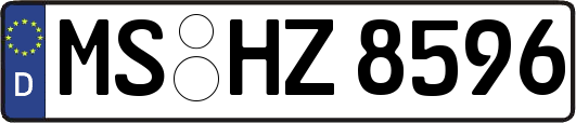 MS-HZ8596