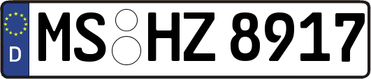 MS-HZ8917