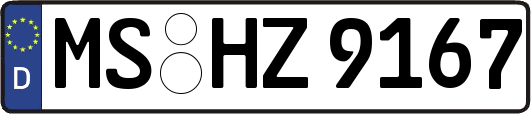 MS-HZ9167