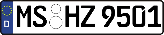 MS-HZ9501