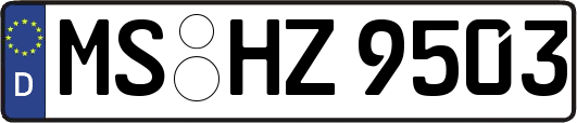 MS-HZ9503