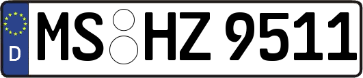 MS-HZ9511