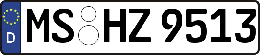 MS-HZ9513