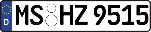 MS-HZ9515