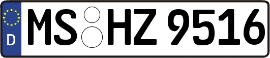 MS-HZ9516